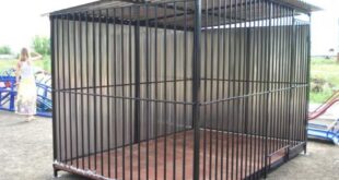 Вольер для собаки