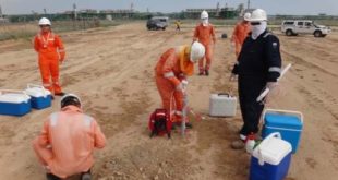 Экологические изыскания и планирование природоохранных мероприятий в Питере
