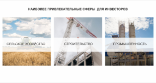 Основные показатели развития инвестиционного проекта
