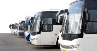Какие бывают типы автобусов?