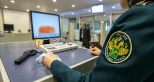 Функции и задачи таможенных органов рф